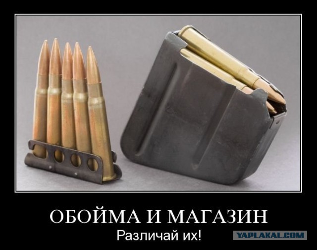 Знаете ли вы?