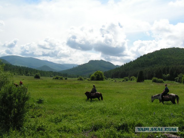 Сибирь настоящая