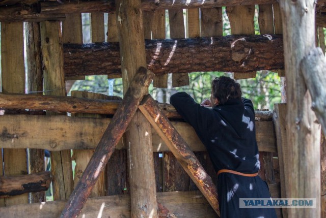 Как я выжил вопреки