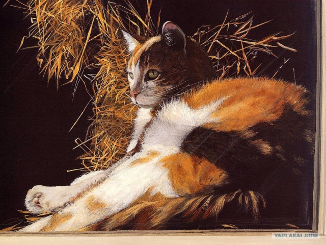 Рисованный котовторник