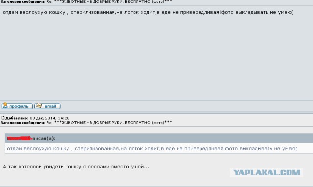Смешные комментарии из социальных сетей