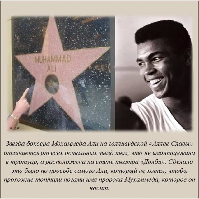 20 фактов обо всем