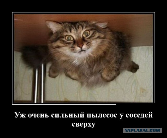 Демотиваторы вторника