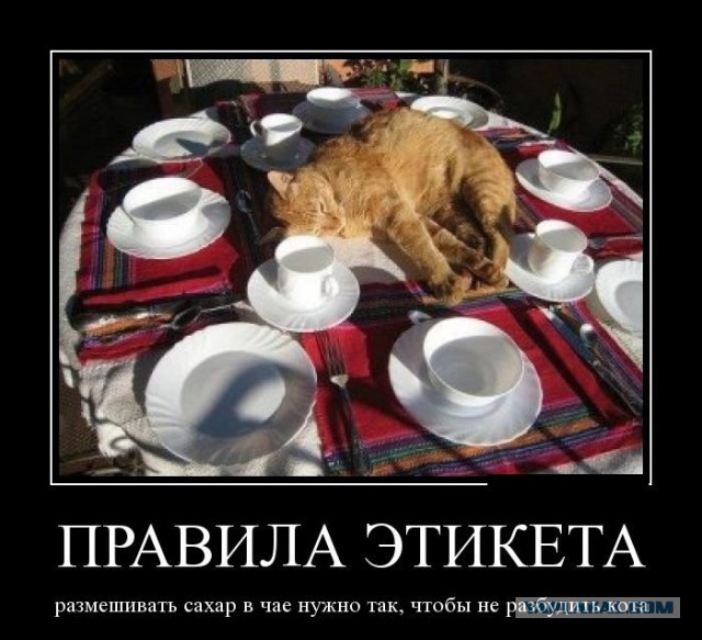 Картинки в черной рамке