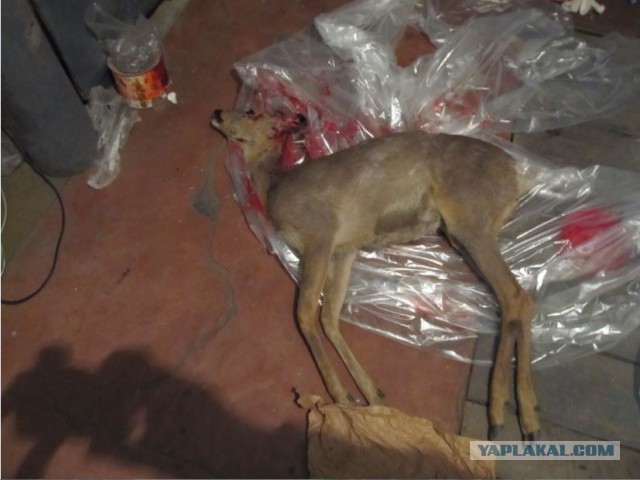 Знак не врет!