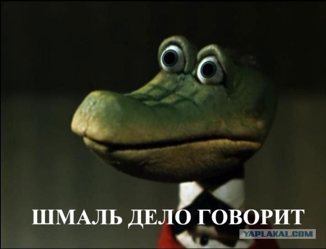 Шмаль: трагедии не будет