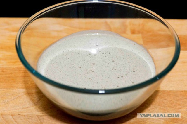 Психокулинария. День открытых дверей.