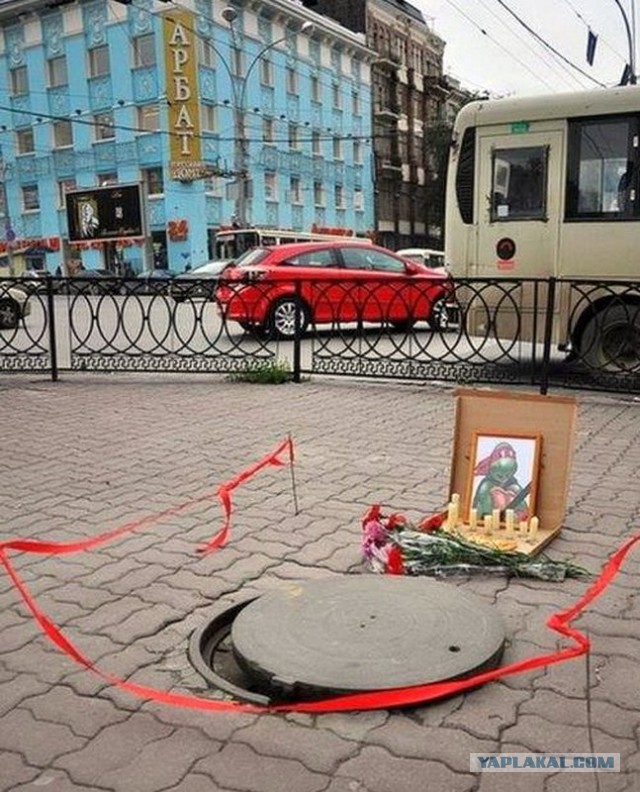 Интересные и веселые картинки