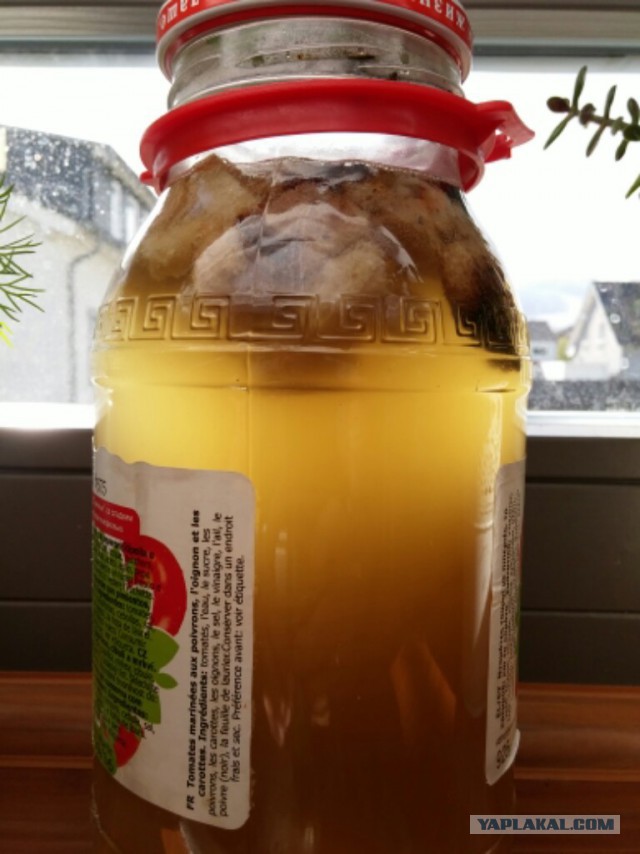 Квас домашний