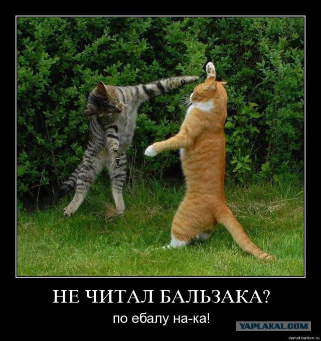 Нужный момент, удачный ракурс