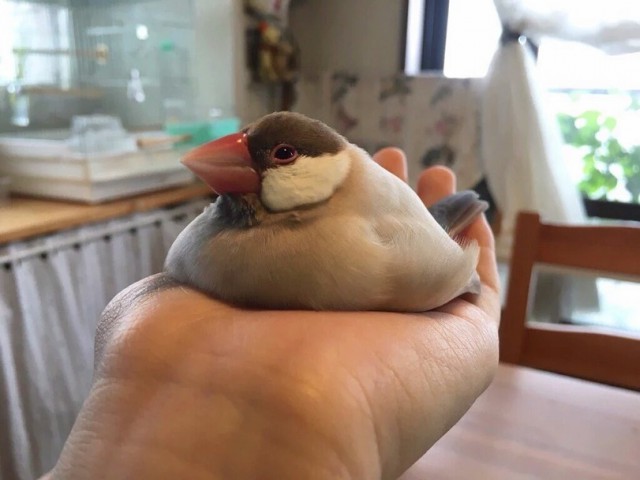 Картинки разные