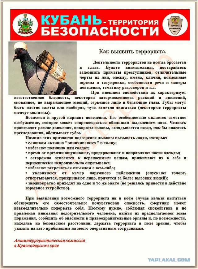Краснодарский сайт Госуслуг научился в мемы