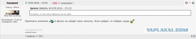 Ищу красавицу с ЯП!