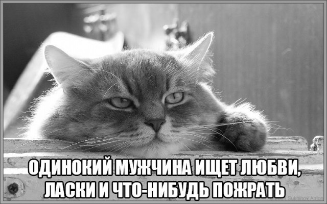 Прикольные животные