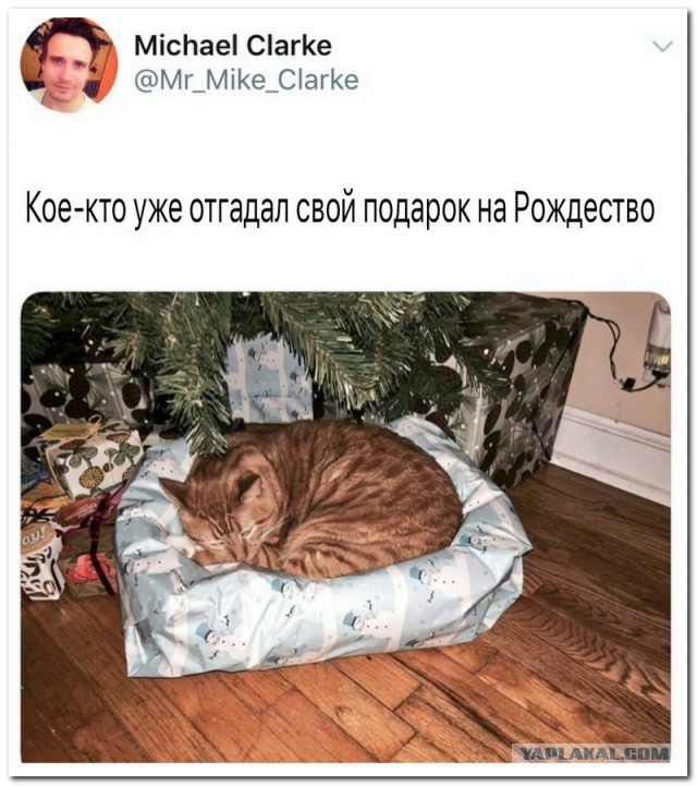 Смешные комментарии из социальных сетей 29.12.2017.