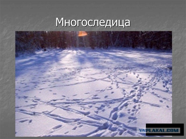 Ты чё, на? Нет, это ты чё?