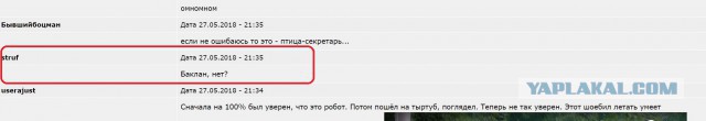 Цаплигатор на прогулке. Вполне добродушная особь!