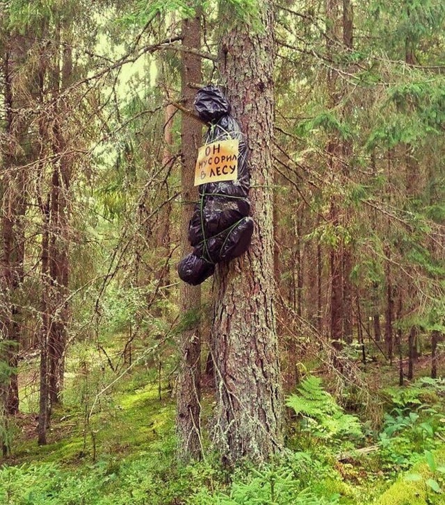 Прикольные надписи и объявления
