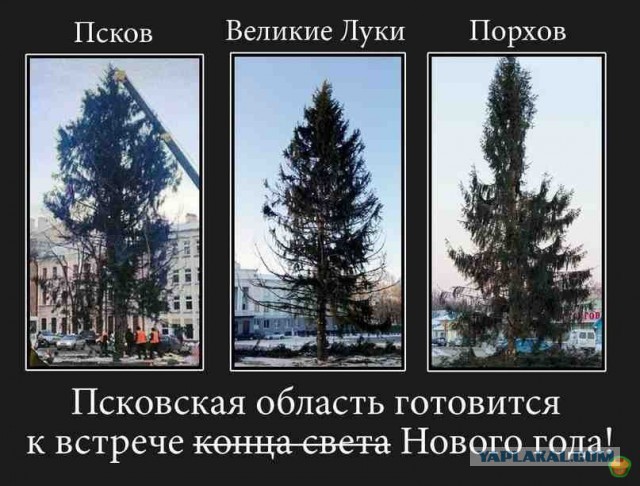 Сегодня зажгли елки в городах