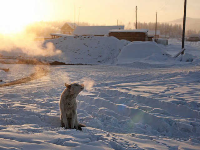 Оймякон