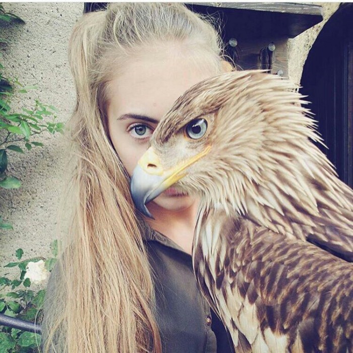 Просто картинки