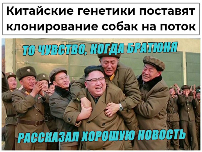 Бредзона