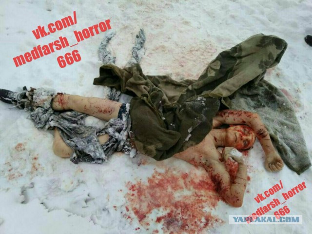 Собака загнала пацана под машину