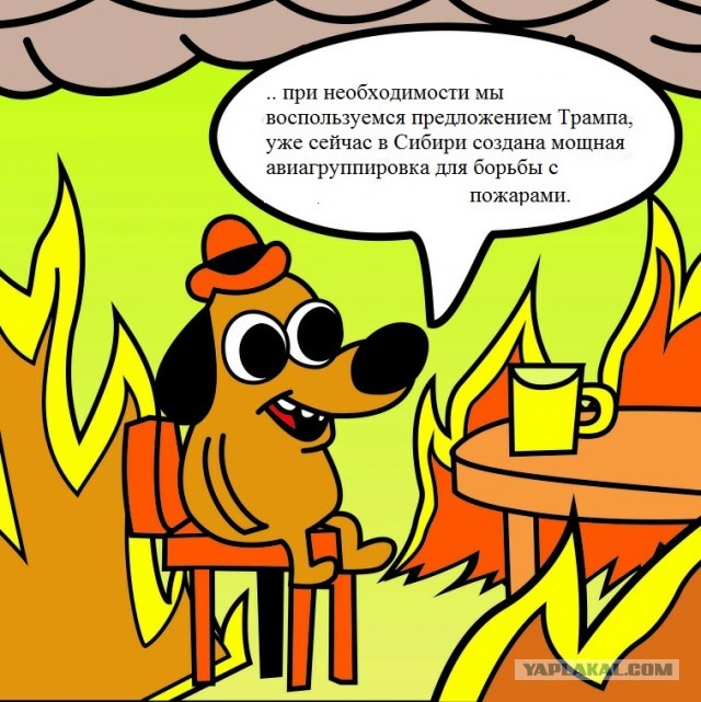 Трамп предложил помощь в тушении пожаров