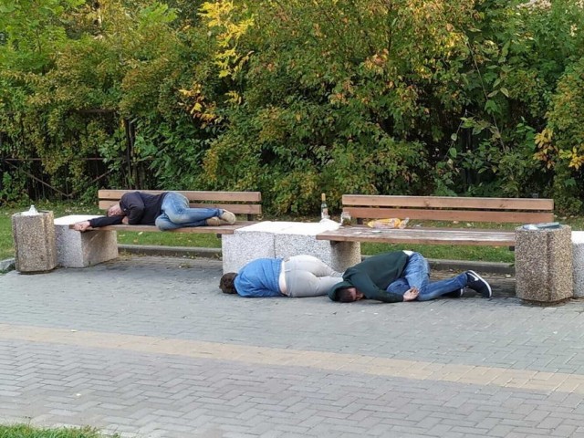 Скотсети и прочие интернеты 18.10.19