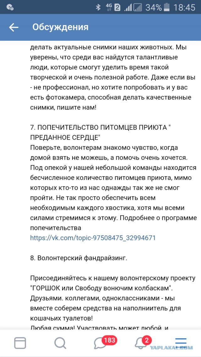 Помогите вернуть кота! Приют "Преданное сердце" украл кота и не отдает!-2