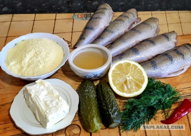 Жаренный берш с медово-огуречным соусом.