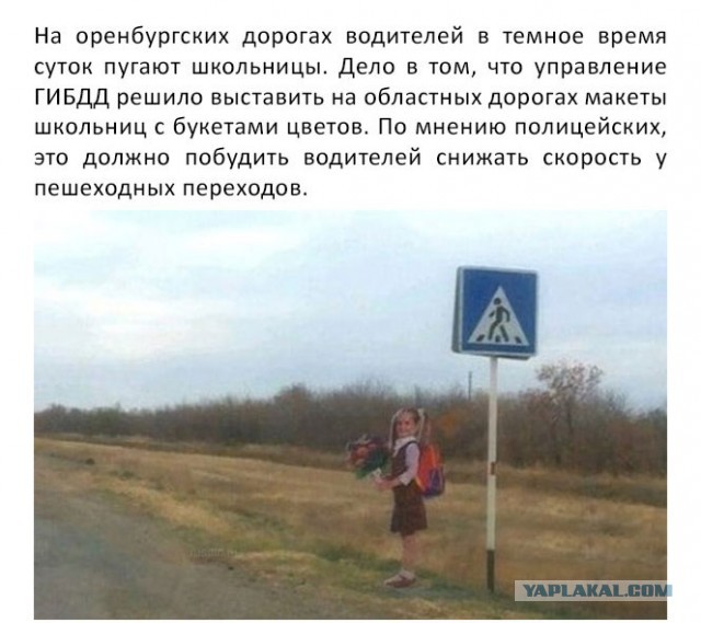 Подборка баянов