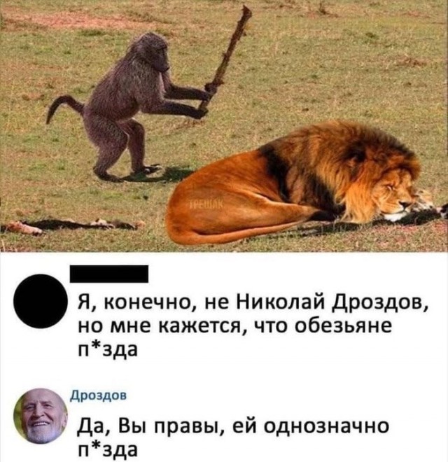 Совмещаем приятное с полезным