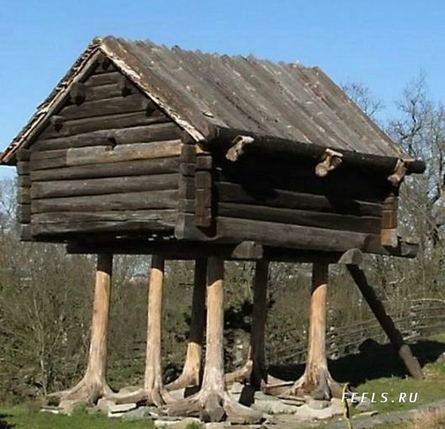 Картинки разные