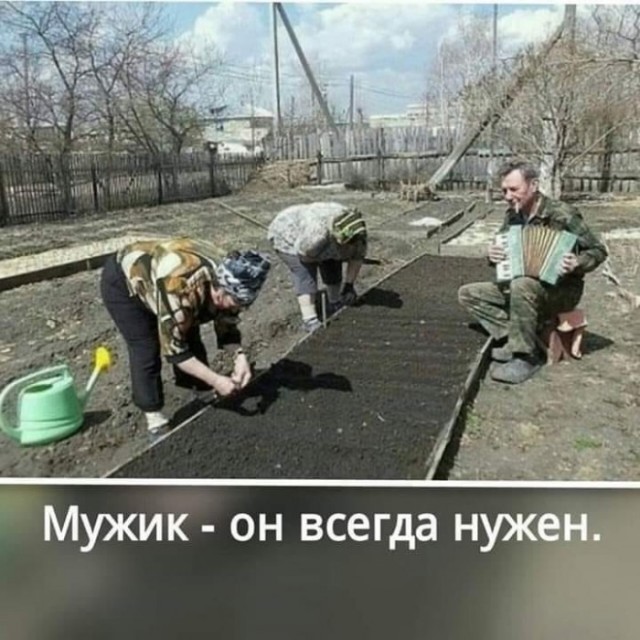 Арсенал новорега