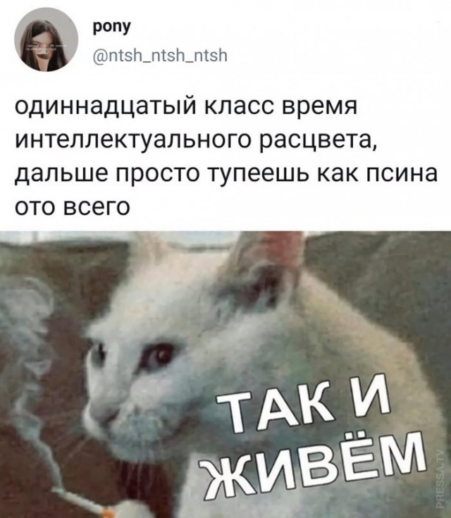 Картинки и мемы для настроения 011