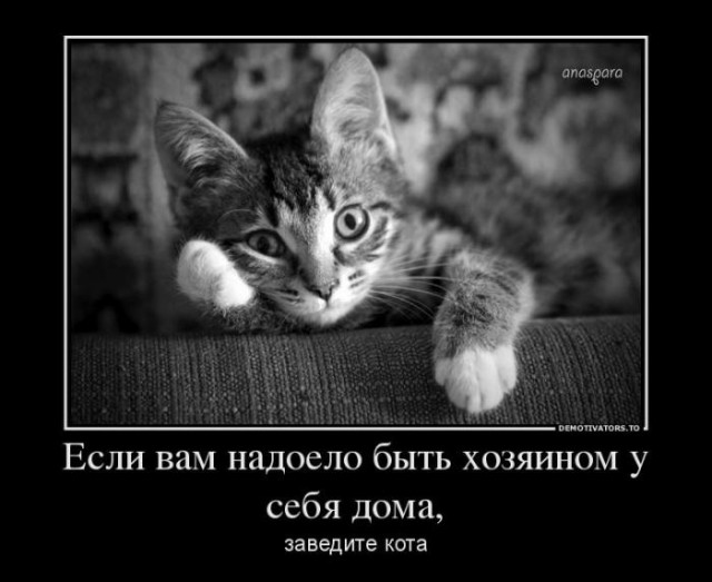 Картинки в субботу 16.01.21