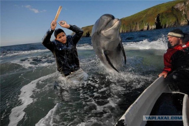 Фотожаба: Дискотека "Египет"