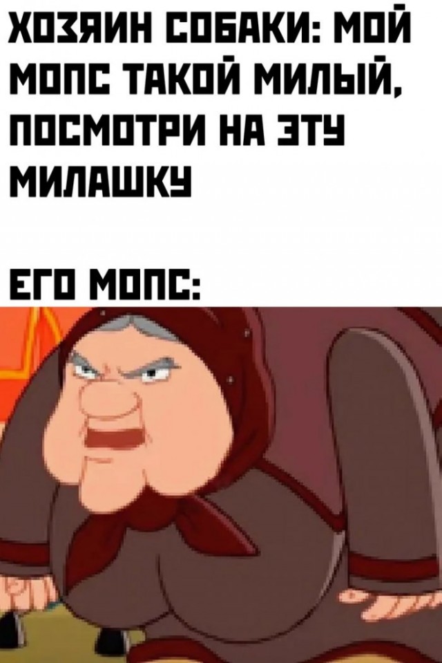 Картинки и мемы для настроения 024