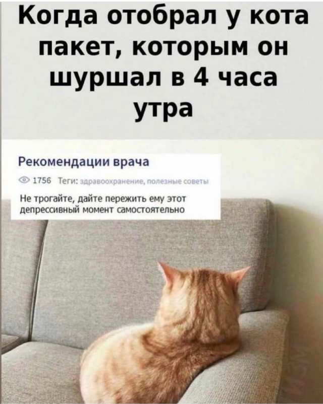 Весёлый полтишок 14.07