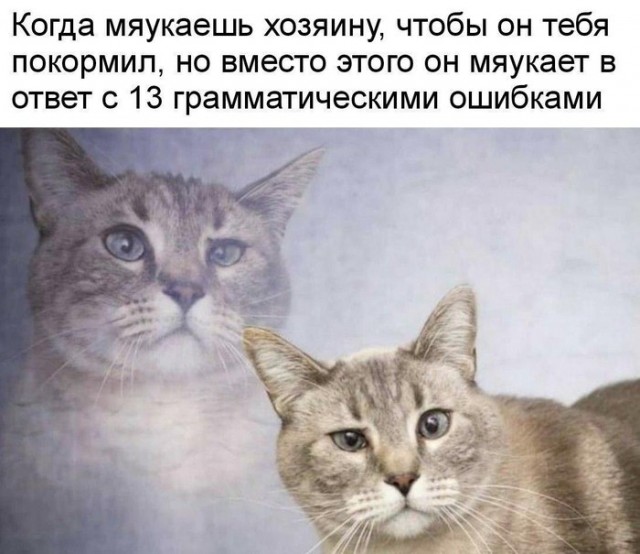 Картинки и мемы для настроения 23.08.2021