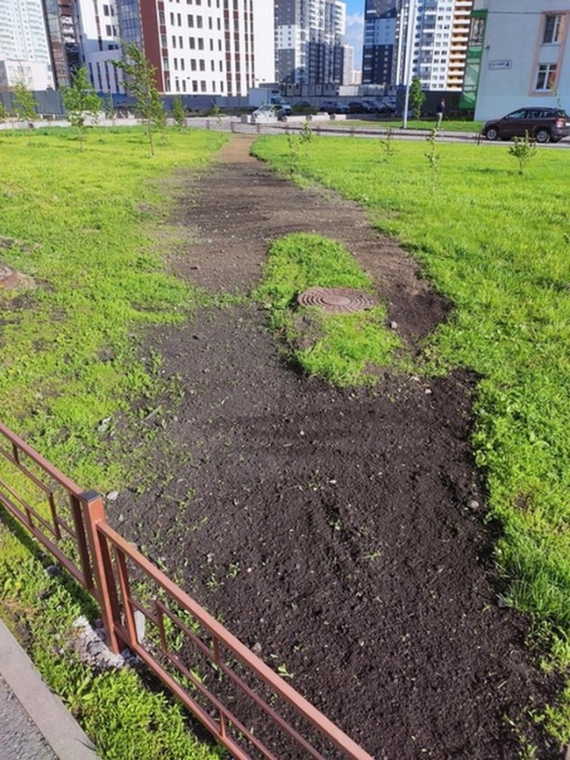 Свежая зелень