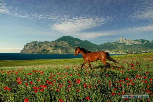 Крым, лучшее место в мире