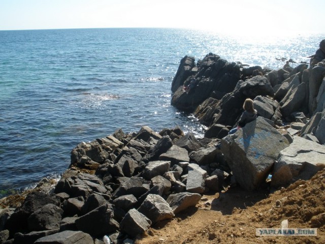 Поездка на побережье Яп.моря