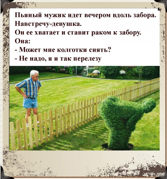 Так себе картинки 08.05.22