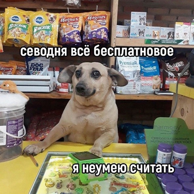 Продавака