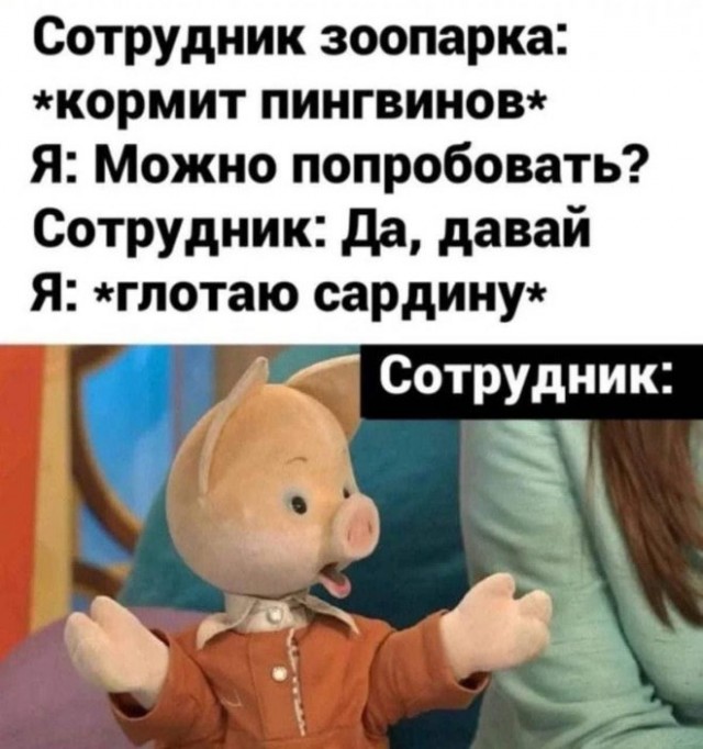 Так себе картинки 24.09.22