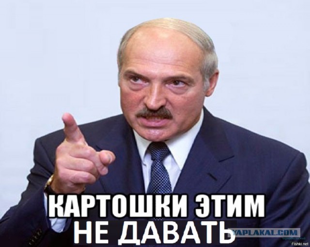 Экоактивисты облили картофельным пюре картину Клода Моне «Стога сена», чтобы привлечь внимание к проблемам климата