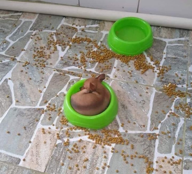 Идеальные совпадения