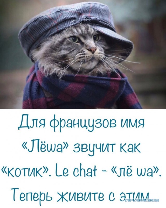 У будущей жены должна быть квартира и машина